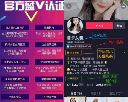 抖音商家认证费用介绍（了解抖音商家认证所需的费用及流程）