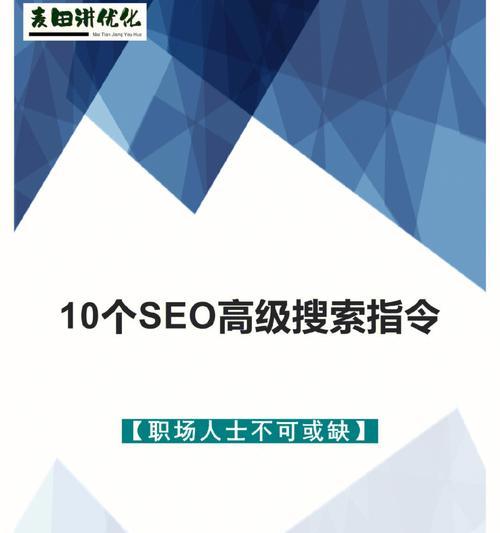 SEO查询指令（深入分析常用的SEO查询指令，助力网站优化）