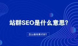 如何打造优秀的SEO网站（全面解析SEO网站建设的有效方法）