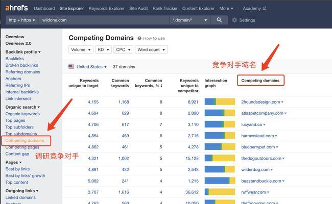 如何评估SEO行业竞争对手网站？（掌握关键数据，制定有效策略，提高排名效果）