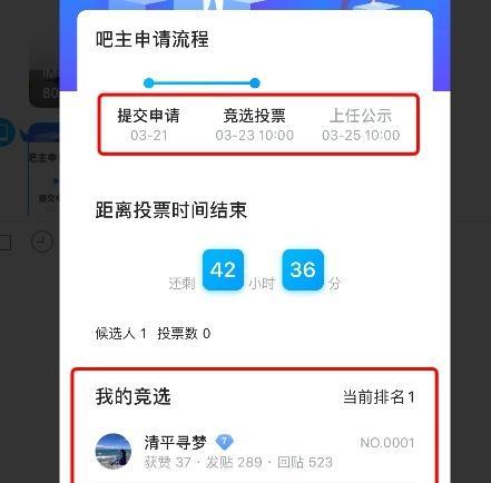 如何提高网站排名——投票与获得投票的方法（掌握SEO技巧，让你的网站在搜索引擎中脱颖而出）