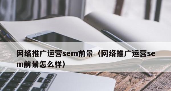 SEO转SEM的可行性分析（从策略到投放效果的综合考量）