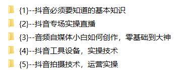 抖音合拍带货全攻略（教你如何利用抖音合拍带货，快速打造个人品牌并获得收益）