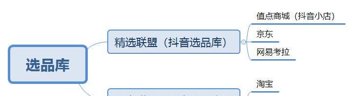 如何加入抖音小店精选联盟？（掌握联盟条件，开启小店新篇章！）
