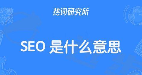 首页SEO优化与单页面优化的区别（掌握两种优化方式，提高网站排名的效果）