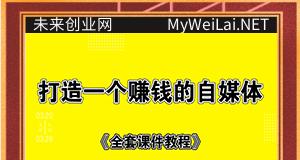 视频号还是店铺？——探讨视频号报白的经营形态