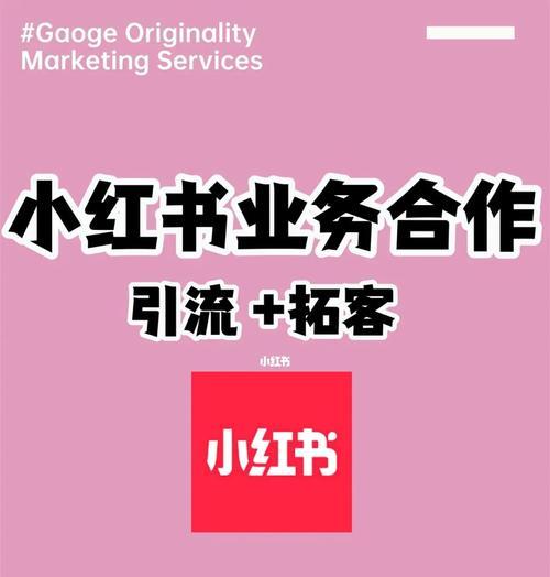 小红书运营方案全面解析（打造高质量内容平台，引领社交电商新风尚）