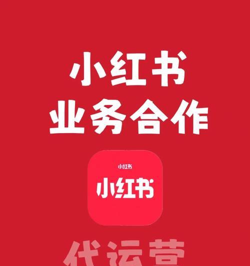 小红书运营方案全面解析（打造高质量内容平台，引领社交电商新风尚）