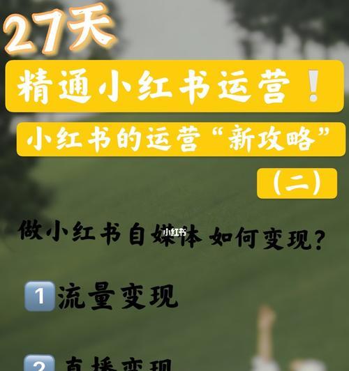 小红书商家入驻攻略（如何成功入驻小红书商家平台）