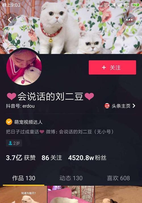 视频号橱窗如何挂载商品（利用视频号橱窗实现营销增长）