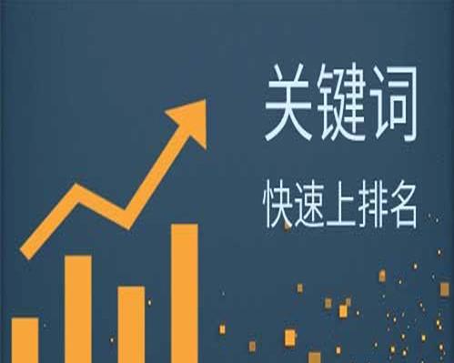 提高新网站排名的8个技巧（从SEO优化到内容营销，打造成功的网站）