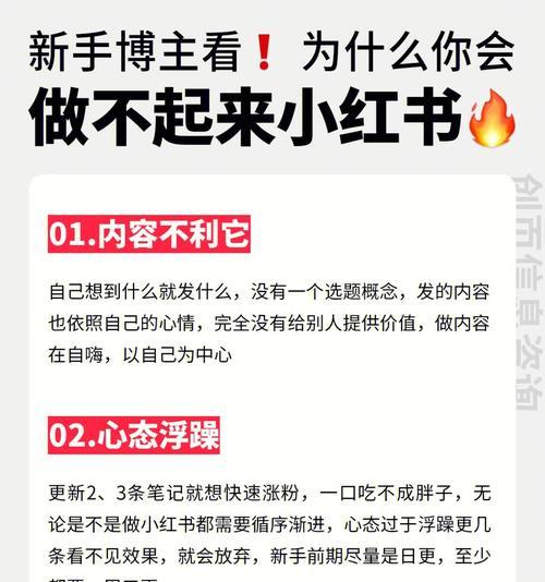 小红书笔记为什么审核不过？（探究小红书笔记审核机制及其影响）