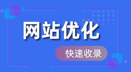 提升SEO排名收录的技巧（掌握这些技巧，让你的网站飞升搜索引擎排名榜）