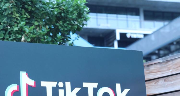 TikTok实名制政策是否必要？（探讨TikTok的用户隐私和安全问题，以及实名制政策的利弊）