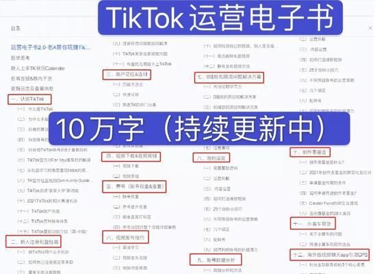 如何在中国使用TikTok？（解读国内使用TikTok的方法与技巧，轻松畅享海外热门短视频平台）