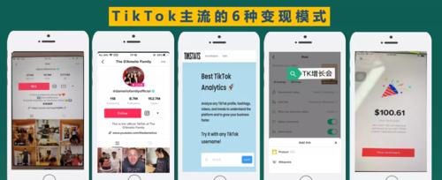 如何在中国使用TikTok？（解读国内使用TikTok的方法与技巧，轻松畅享海外热门短视频平台）