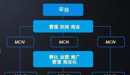 抖音MCN机构入驻费用详解（了解抖音MCN机构入驻所需费用及注意事项）