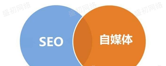 从SEO小白到网络推广高手的成功之路（优化）