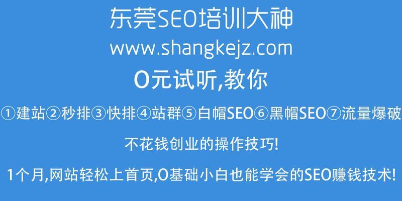 零基础新手学SEO必备——掌握优化技巧（从基础到实践）