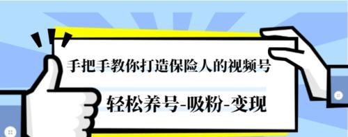 视频号变现攻略——玩转多种方式赚钱（快速提升视频号收益）