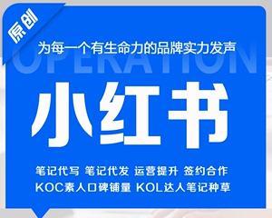 小红书KOL和KOC的内容区别解析（深入了解KOL与KOC的区别）