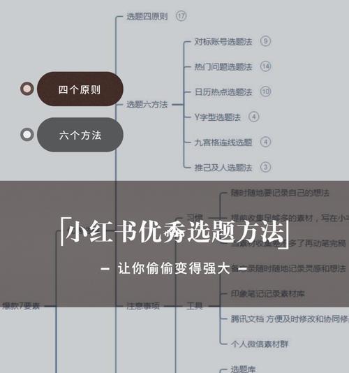 揭秘小红书运营模式（从社交电商到品牌化）