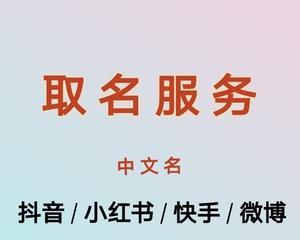 小红书——社交电商平台的代表（探索小红书的特点与优势）