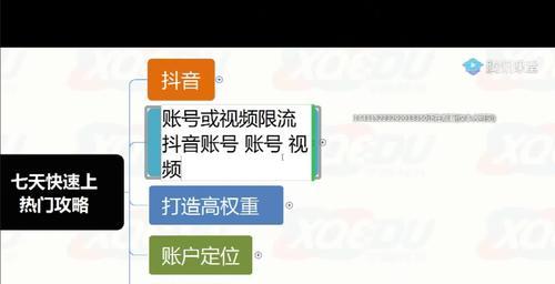 如何打开抖音数据罗盘（掌握这些技巧）