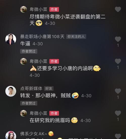 抖音达人佣金收入计算全解析（了解抖音达人佣金计算方式及如何提高收入）