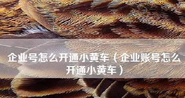 如何开通抖音小黄车保证金（提取保证金的方法和注意事项）