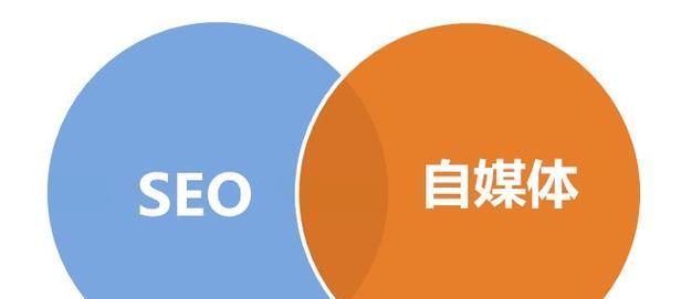 如何选择进行SEO优化（从选择到文章优化）