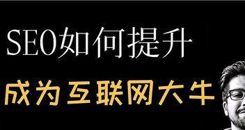 如何提升网站优化技术（SEO大咖分享的技巧和策略）