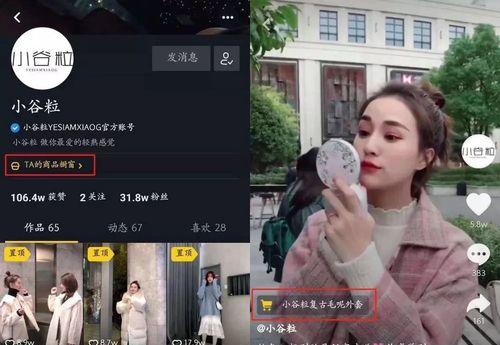 如何利用抖音短视频带货赚钱（抖音短视频带货教程及技巧）