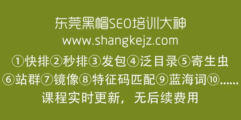 揭秘黑帽SEO圈反推技术，实现百度秒收录（掌握这些技巧）