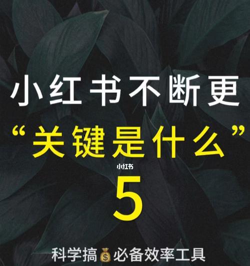 小红书笔记推广券的正确使用方法（解锁小红书笔记推广券）