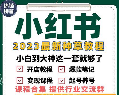 探讨小红书推广的关键问题，为您的品牌提供有效的市场营销策略（探讨小红书推广的关键问题）