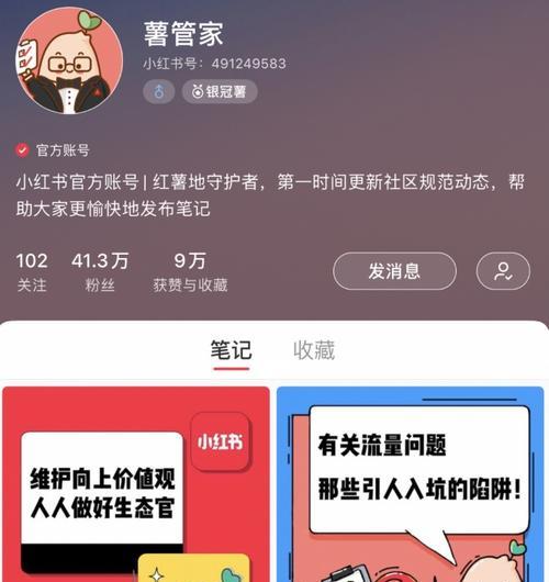 小红书运营规则和技巧全解析（轻松掌握小红书营销的方法和技巧）