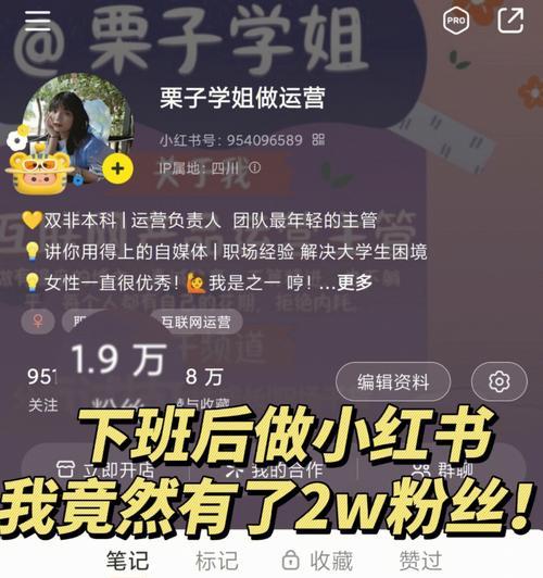 小红书商品链接挂法攻略（利用小红书链接挂载商品）