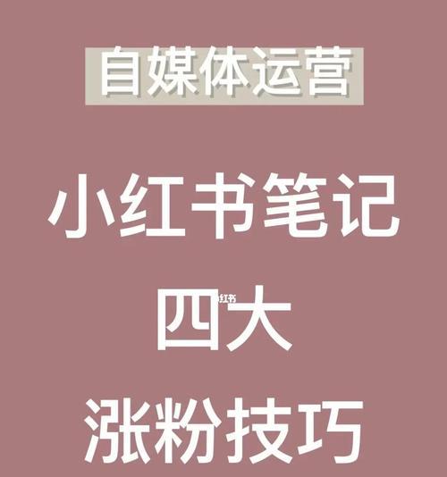 小红书涨粉太快会带来哪些限流问题（探究小红书涨粉速度与限流关系）