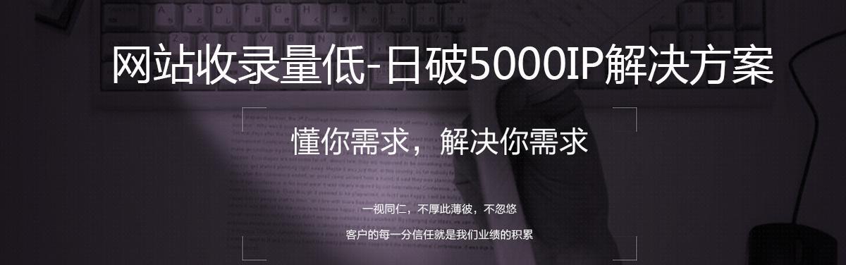 新站不收录的原因及解决方法（为什么我的新站没有被搜索引擎收录）