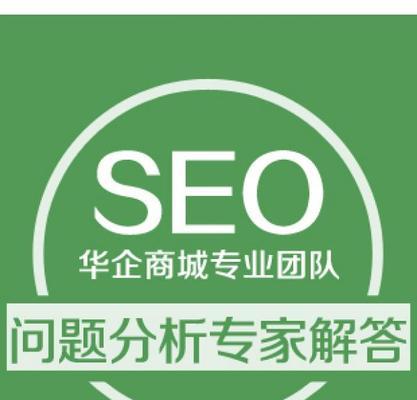 如何进行定时分析网站优化数据（掌握SEO必备技能）