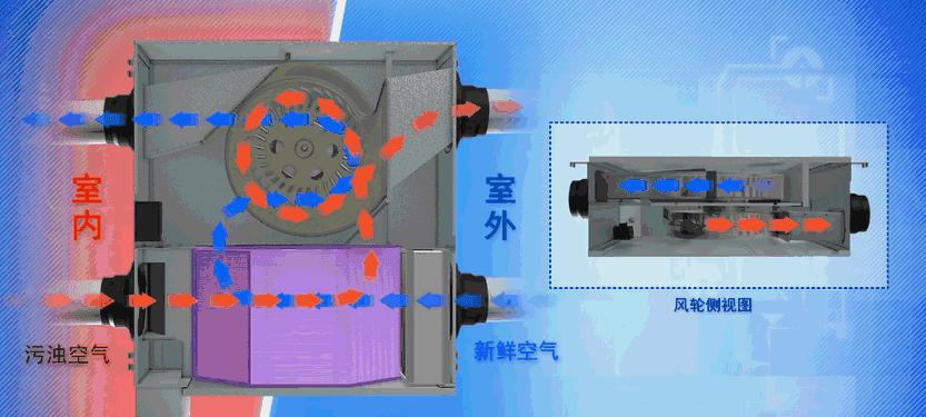 百家号图文与动态（分析百家号图文与动态的收益差异）