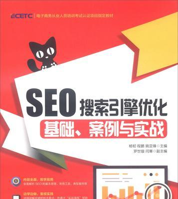 SEO经典案例（掌握SEO技术）