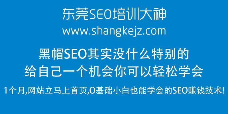 如何识破黑帽SEO优化，寻找专业SEO公司（揭开黑帽SEO的面纱）