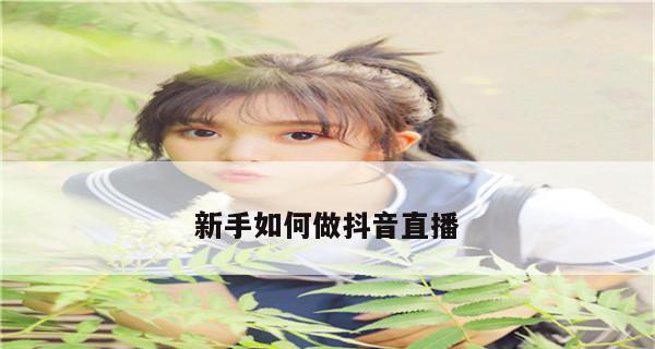 抖音团长模式，让你快速赚钱（学习如何成为抖音团长）