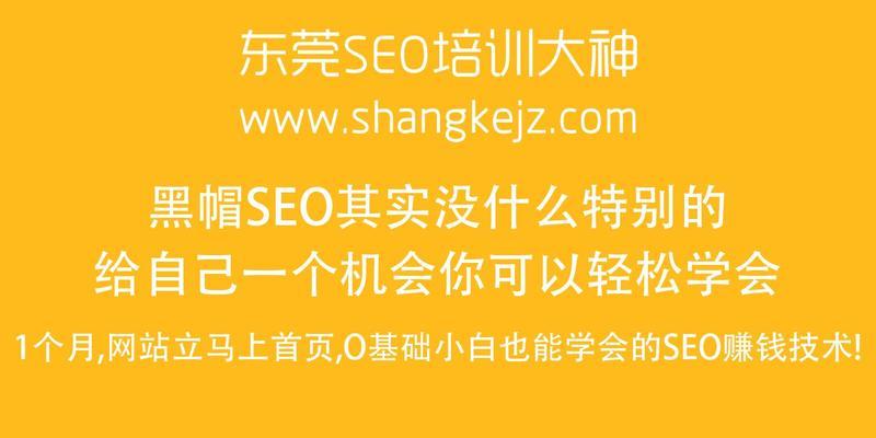 黑帽SEO技术并非唯一快速提高排名方法（了解其他快速提高排名技术）