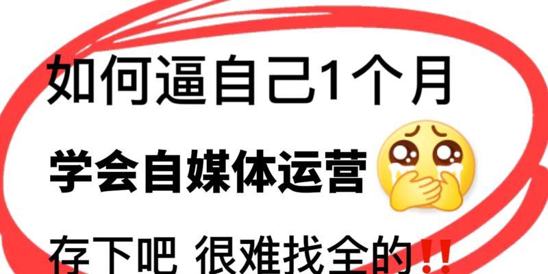 B站自媒体收益揭秘（探究B站自媒体平台的盈利模式与收益潜力）