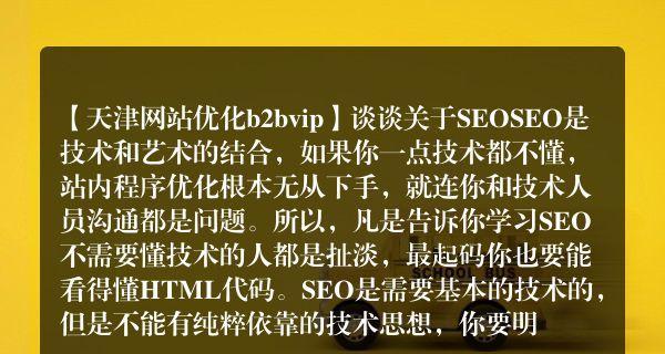 SEO专业术语：你所不知道的搜索引擎优化技巧