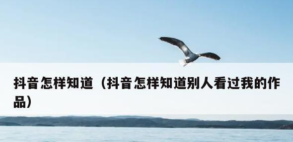 揭秘抖音偷偷浏览别人的痕迹（你以为偷偷看别人不会留下痕迹？关注这些细节）