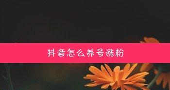 打造流量明星——抖音养号必备策略（养号多久才能有推荐量）